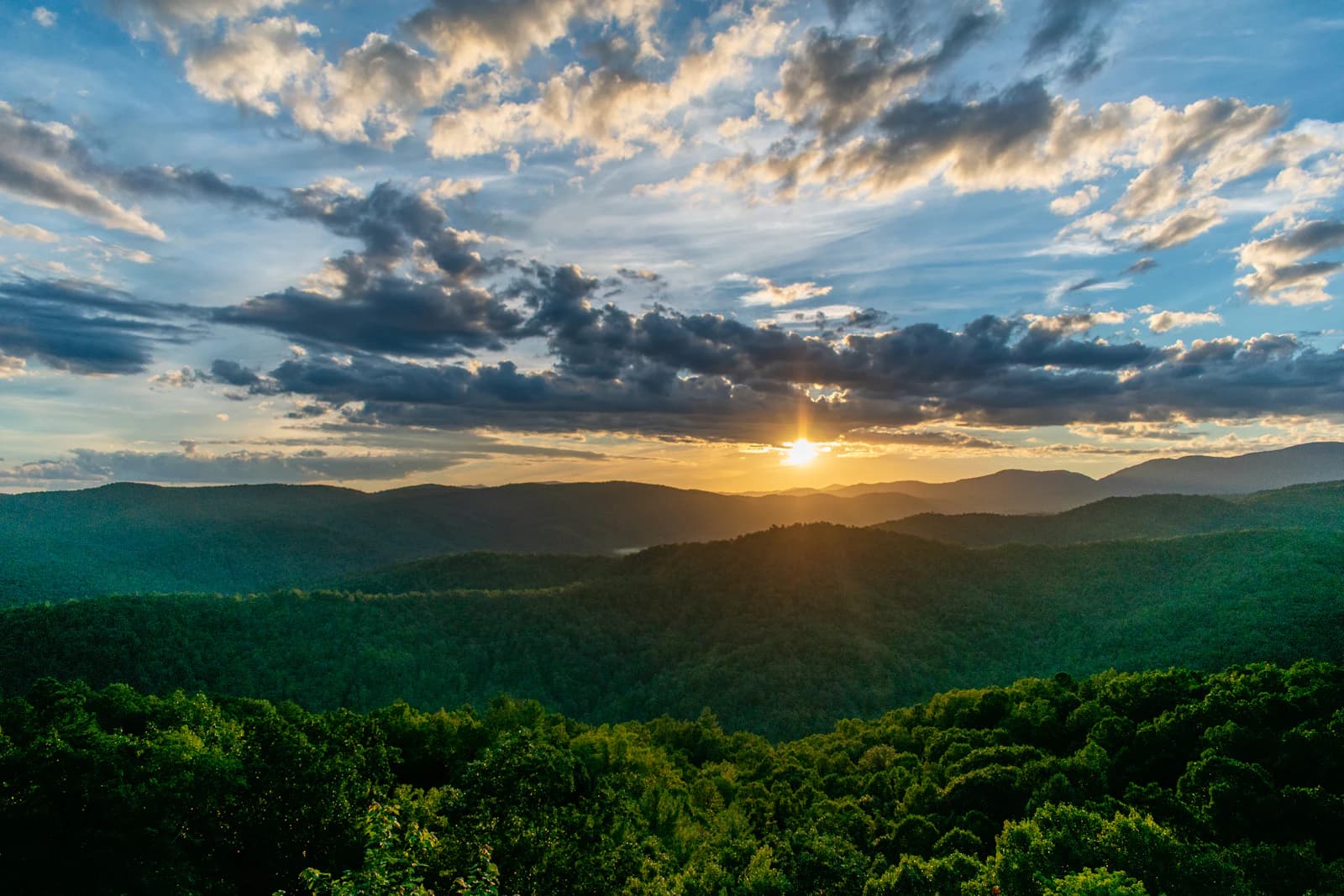 Homesteading in Tennessee: The Complete 2026 Guide