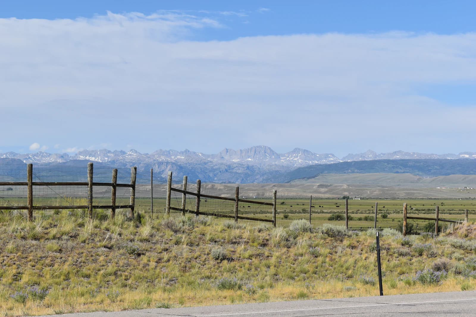 Cheapest States to Buy Homestead Land in 2026