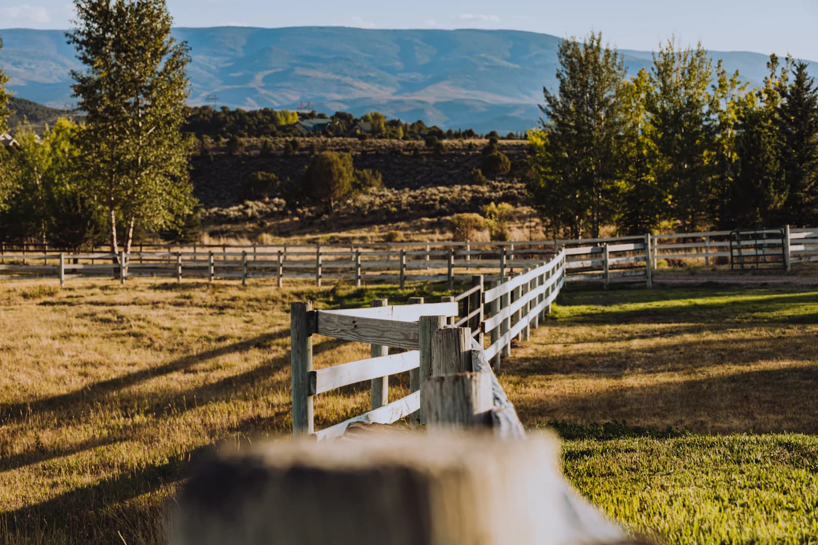 Homesteading in Colorado: The Complete 2026 Guide