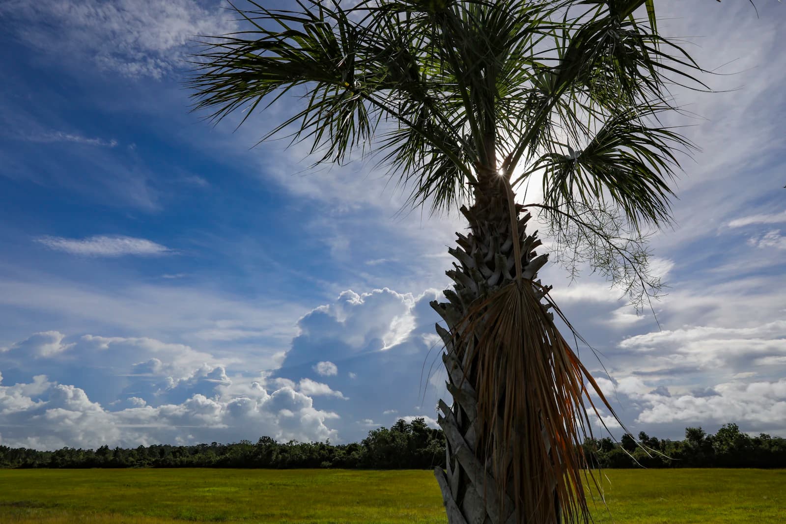 Homesteading in Florida: The Complete 2026 Guide