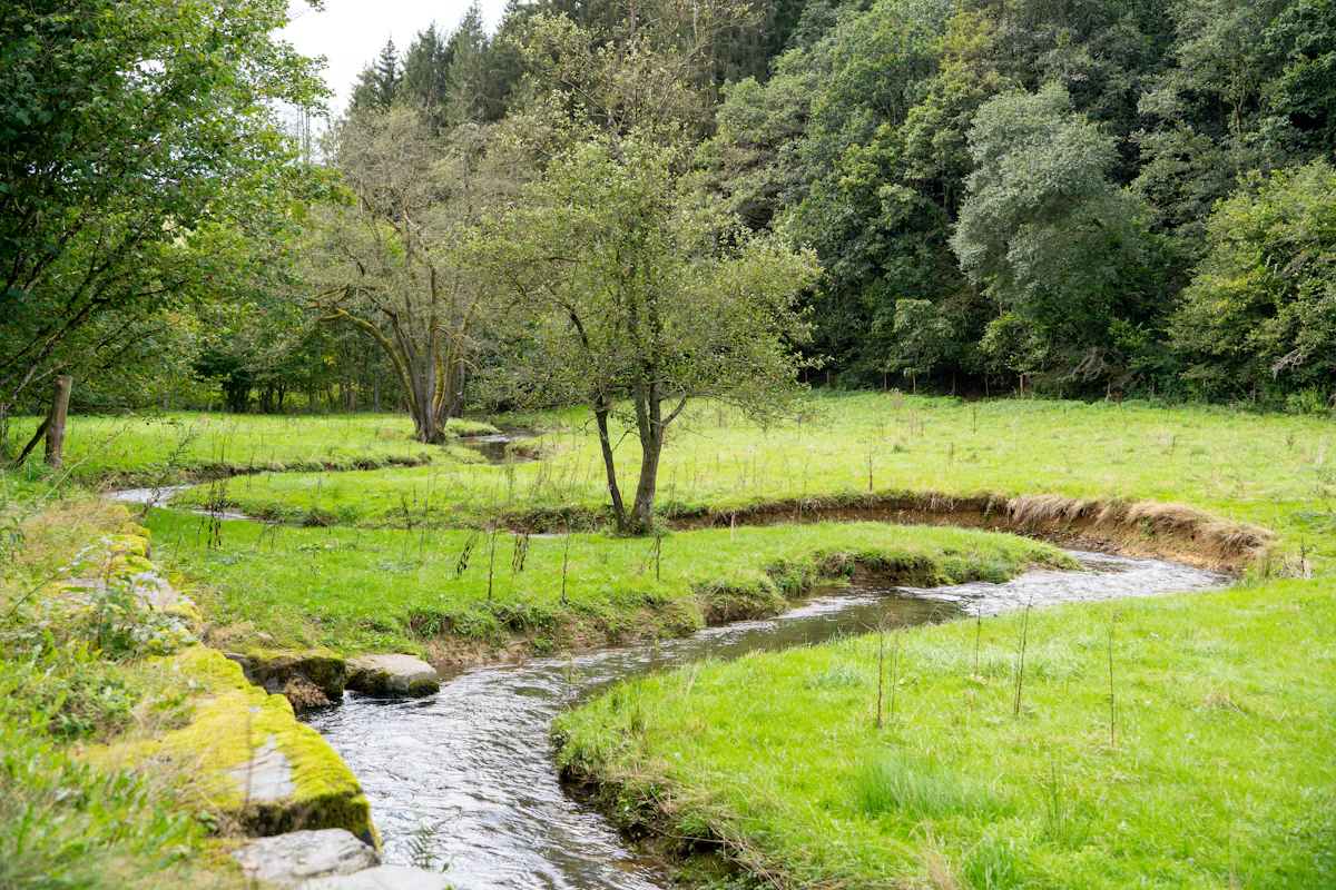 A spring-fed creek crossing a rural parcel, a private off-grid water source