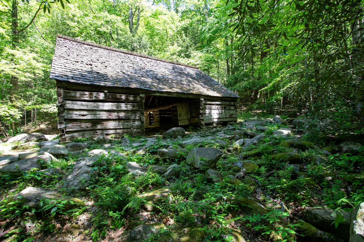 A rustic log cabin among green trees in a forest clearing